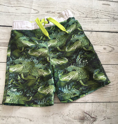 4-5 Years Swim Shorts