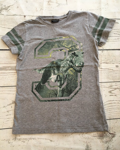 Age 8 Trex Dinosaur Tshirt
