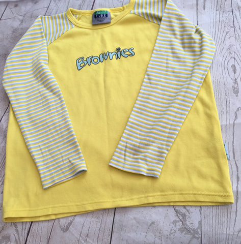 Chest 34 Brownies Top